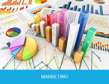 marketing