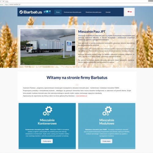 responsive website