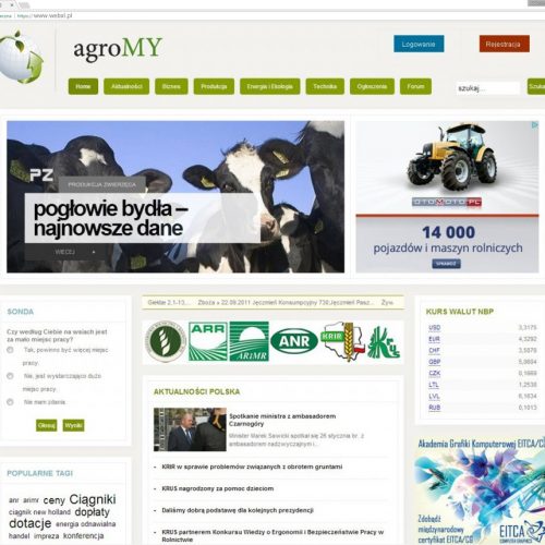 Strona internetowa CMS Responsywna